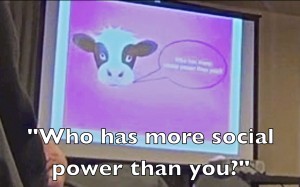The Cow Asks:  "Whop has more social power than you?"